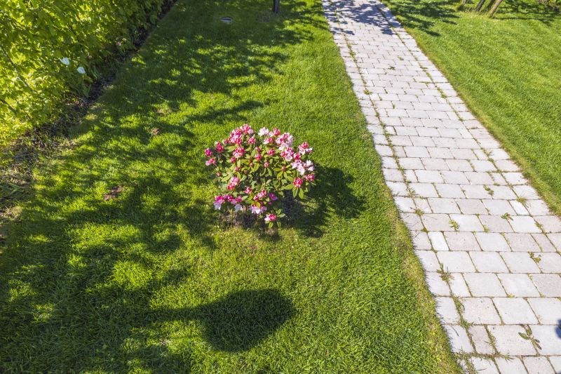 Paved Residential Pathway